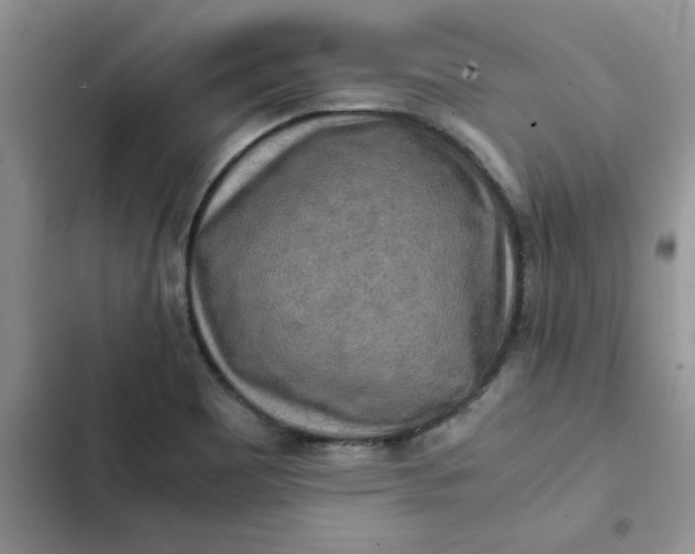 X0000102521465200808221830