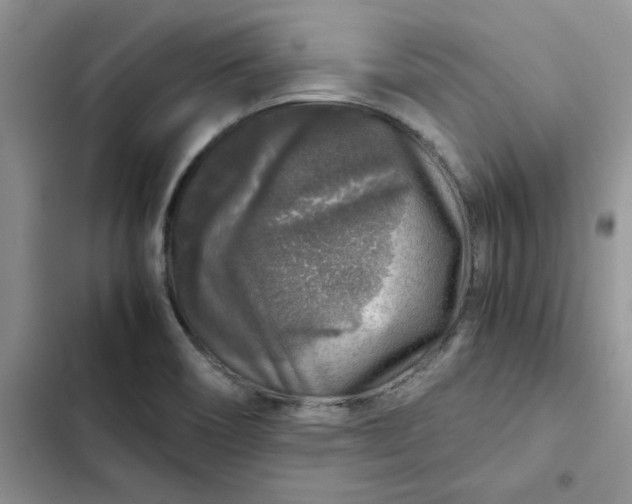 X0000102521466200808221830