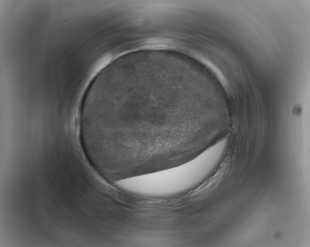 X0000102521467200808221830