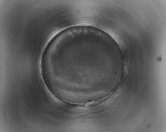 X0000102521468200808221830