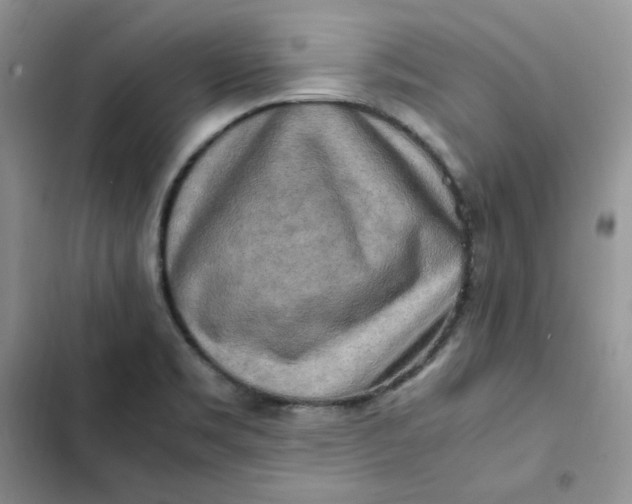 X0000102521469200808221830