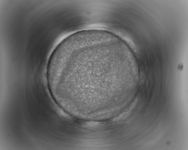 X0000102521470200808221830