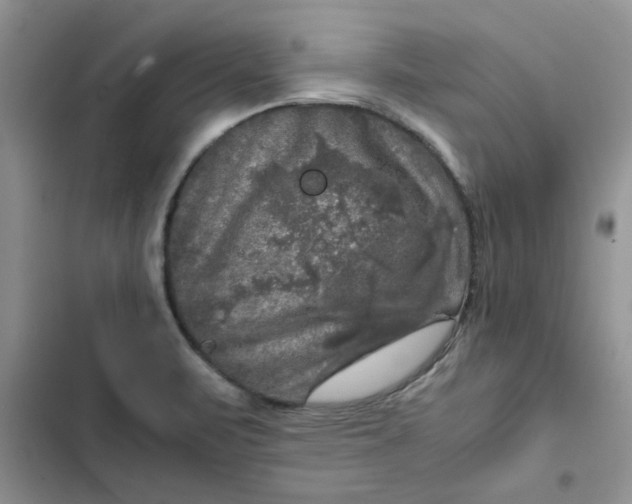 X0000102521471200808221830