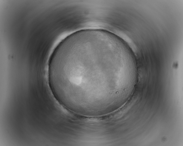 X0000102521472200808221830