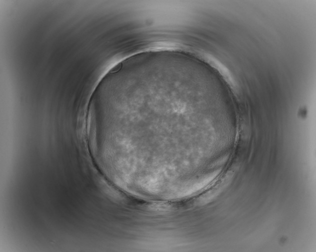 X0000102521473200808221830