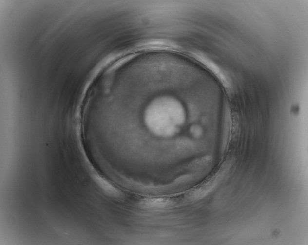 X0000102521474200808221830