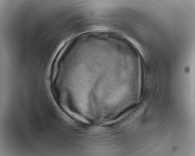 X0000102521475200808221830