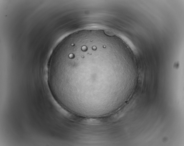 X0000102521476200808221829