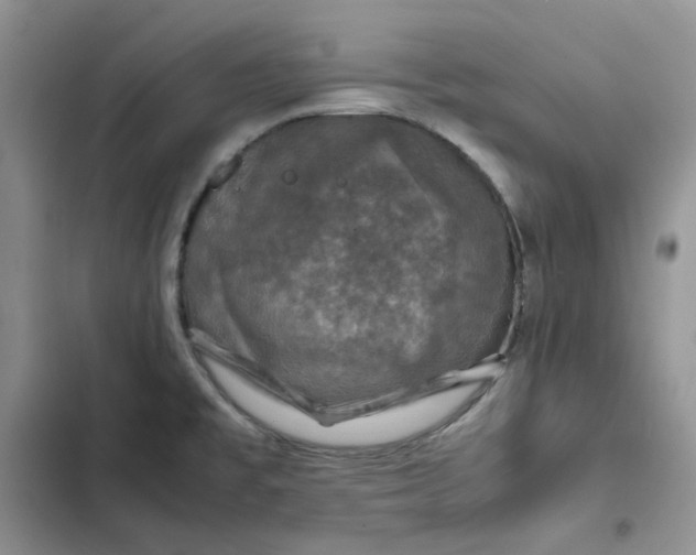 X0000102521477200808221829