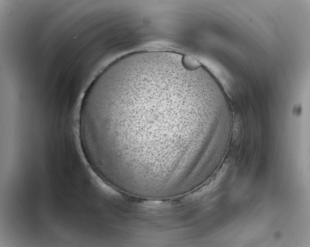 X0000102521478200808221829