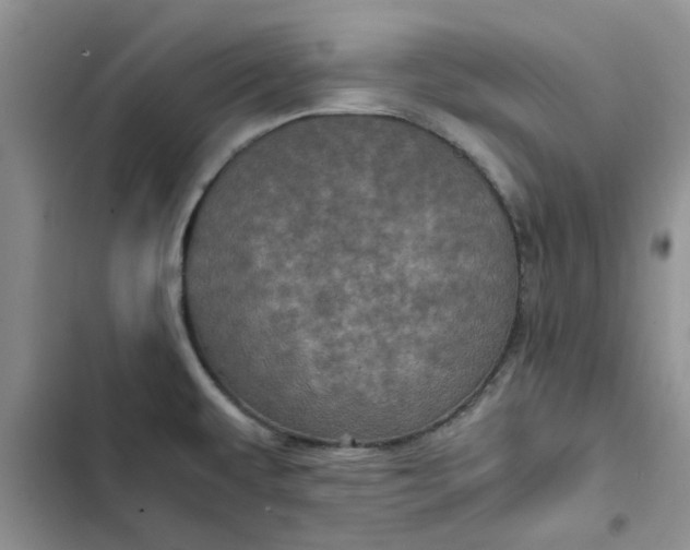 X0000102521479200808221829