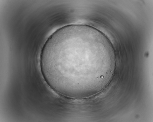 X0000102521480200808221829