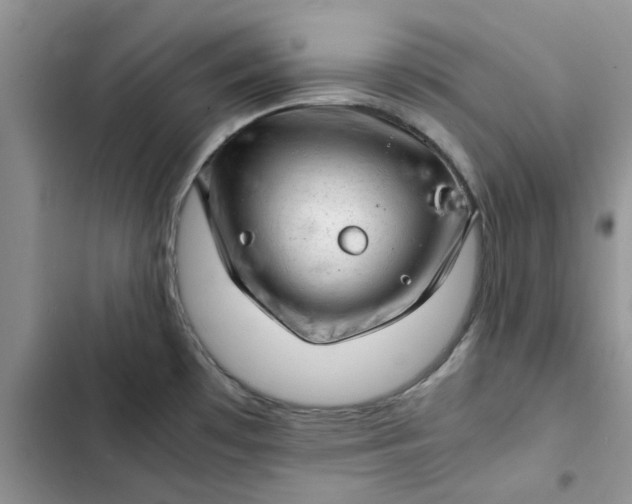 X0000102521481200808221829