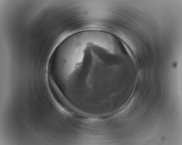 X0000102521482200808221829