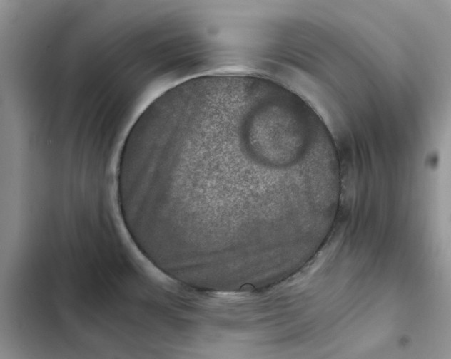 X0000102521483200808221829