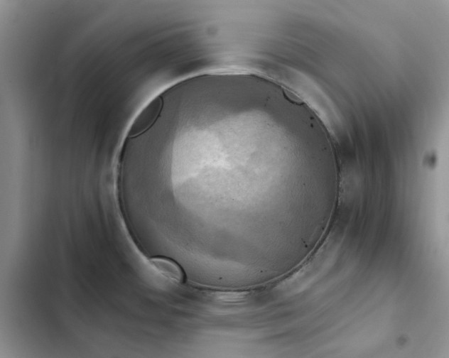 X0000102521484200808221829