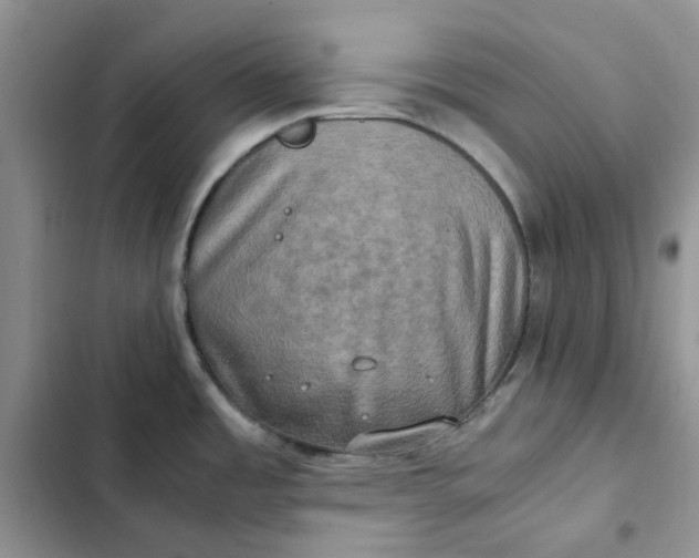 X0000102521485200808221829