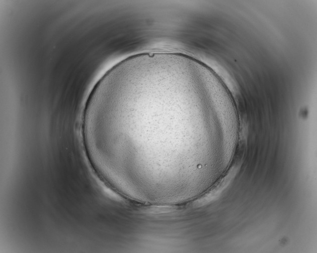 X0000102521486200808221829