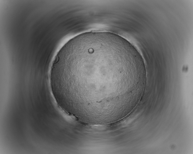 X0000102521488200808221829