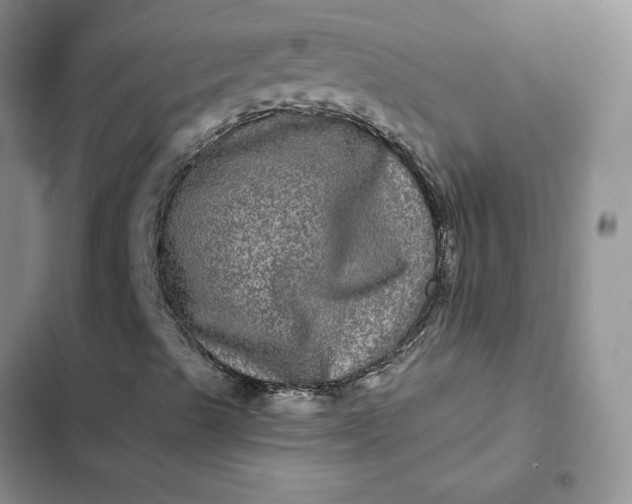 X0000102521489200808221829