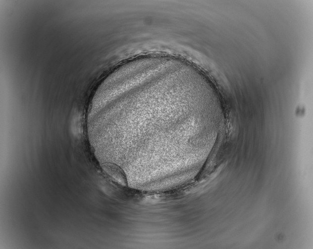 X0000102521490200808221829