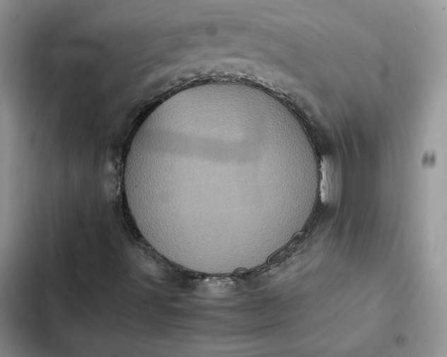 X0000102521491200808221829