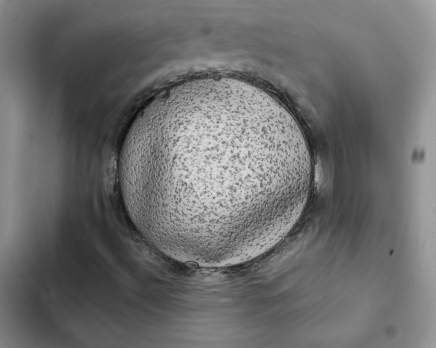 X0000102521492200808221829