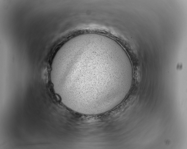 X0000102521493200808221829