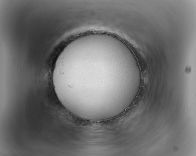 X0000102521495200808221829