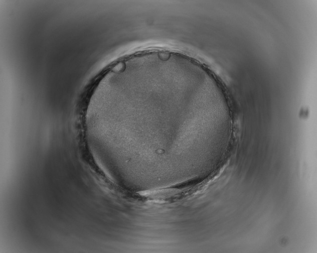 X0000102521496200808221829