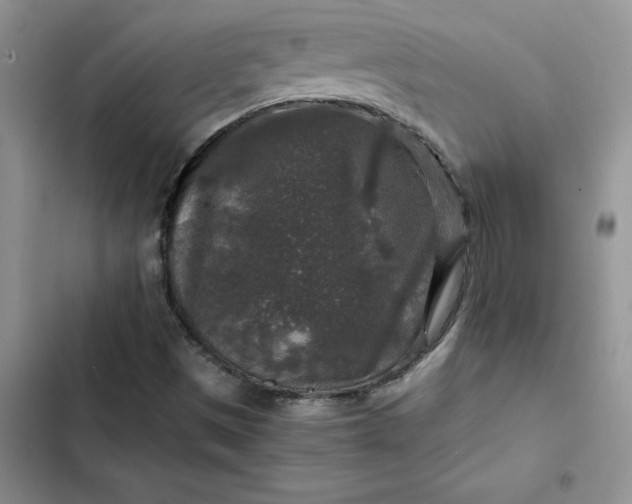 X0000102521497200808221829