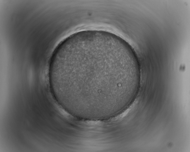 X0000102521498200808221829