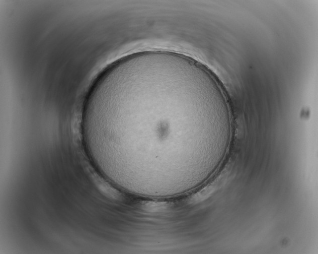 X0000102521499200808221829