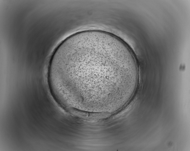 X0000102521500200808221829