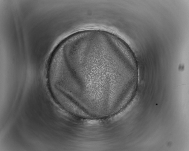 X0000102521501200808221829