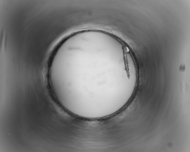 X0000102521502200808221829