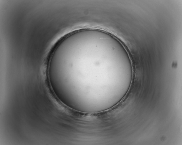 X0000102521503200808221829