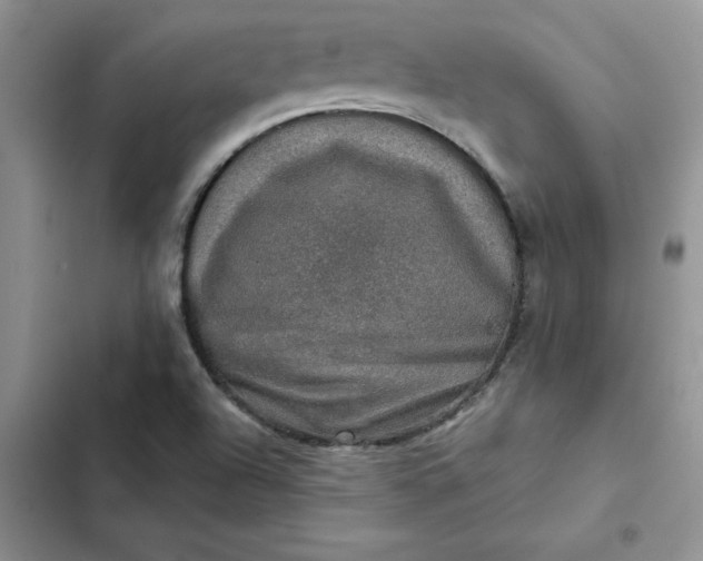 X0000102521504200808221829