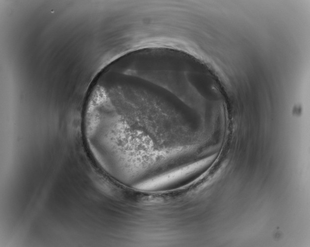 X0000102521505200808221829