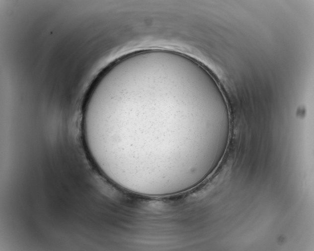 X0000102521507200808221829