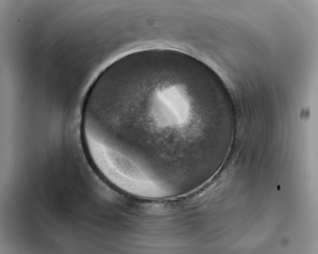 X0000102521508200808221829