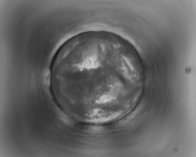 X0000102521509200808221829