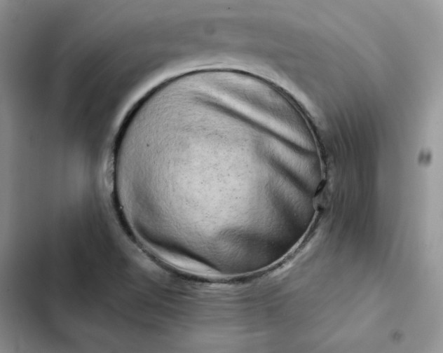 X0000102521510200808221829