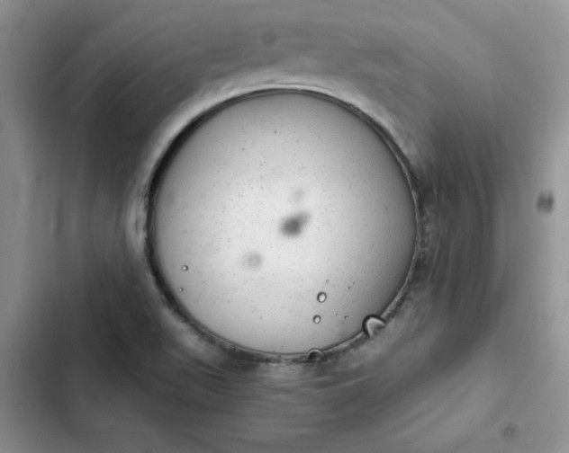 X0000102521511200808221829