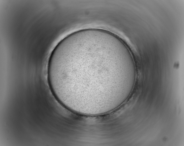 X0000102521512200808221829