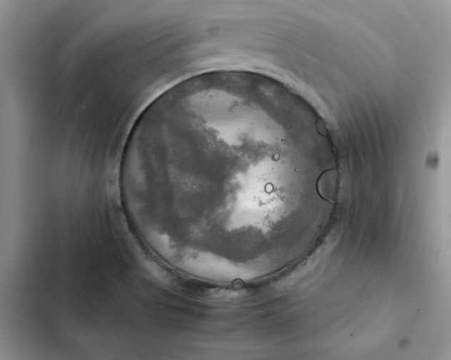 X0000102521513200808221829