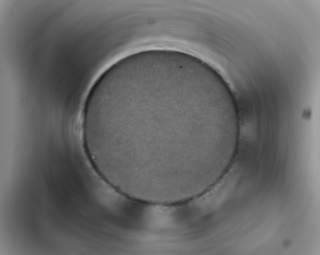 X0000102521514200808221829