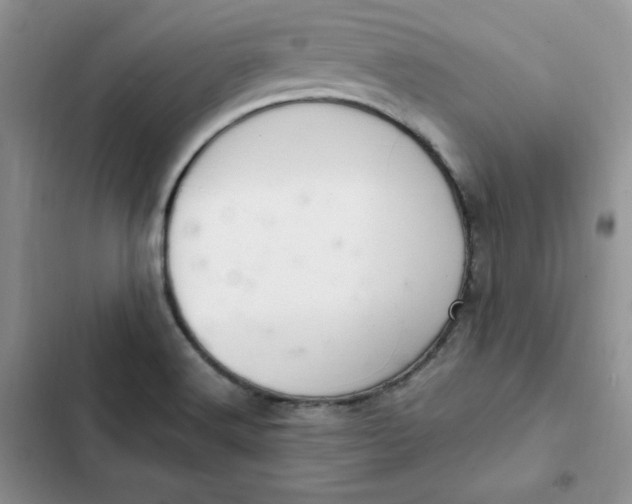 X0000102521516200808221829