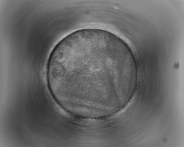 X0000102521517200808221829