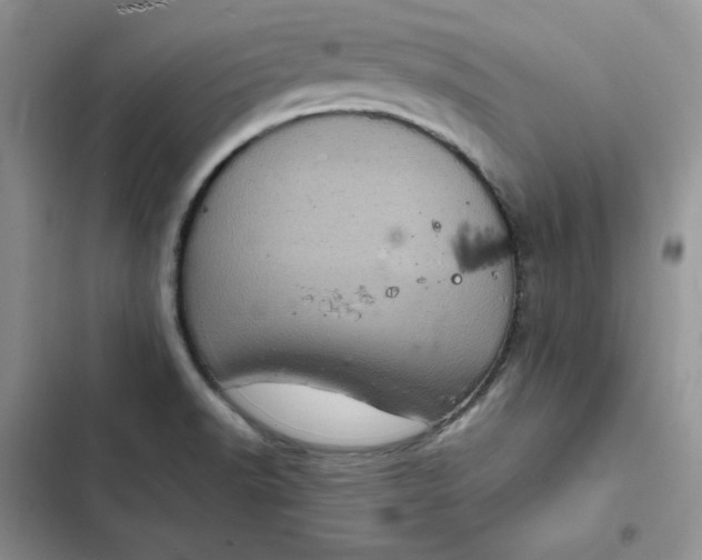 X0000102521518200808221829